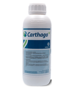 Carthago SC 1L