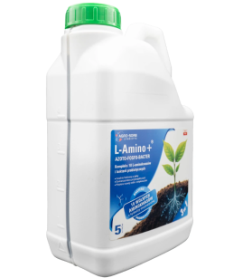 Agro-Sorb L-Amino+ Azoto-Fosfo-Bacter 5 L nawóz z bakteriami i aminokwasami