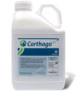 Carthago SC 5l