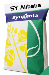 Rzepak SY ALIBABA Integral