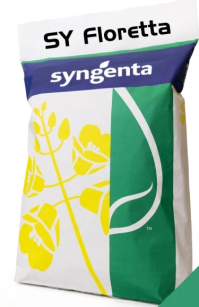 Rzepak SY FLORETTA
