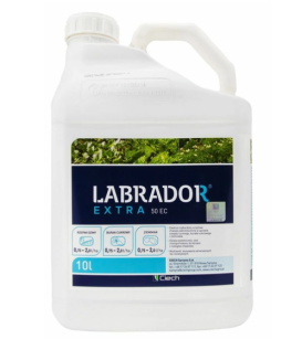 LABRADOR EXTRA 50 EC 10L