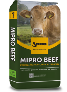 Mipro Beef 25kg